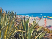 052 - Club Corsicana / Korsika